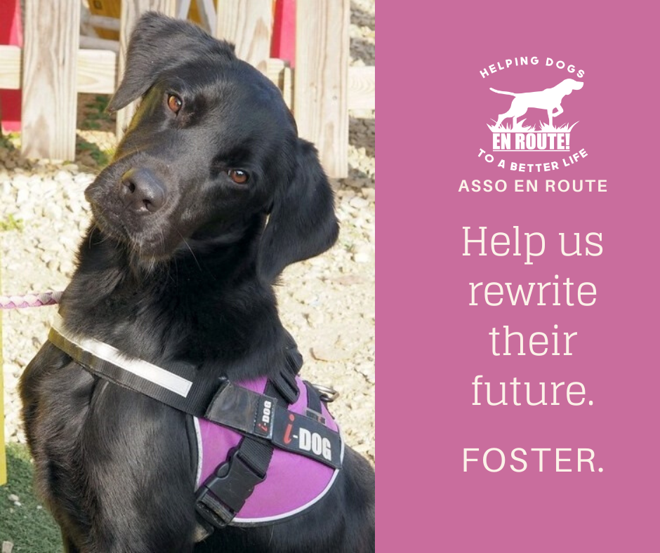 Fostering Appeal